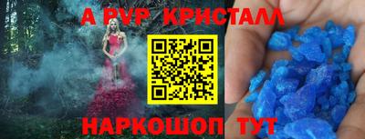 СК Гусев
